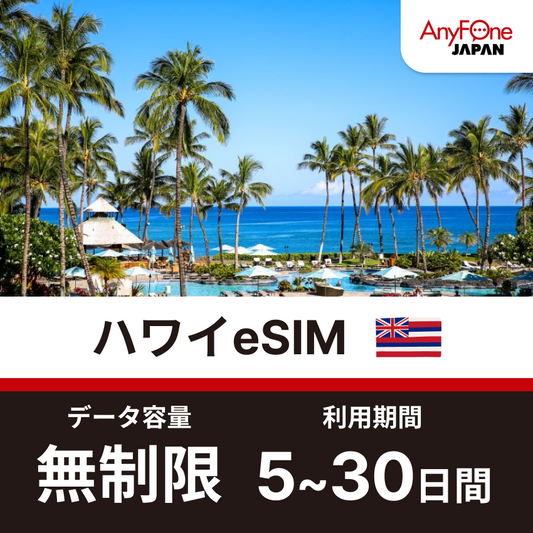 ハワイeSIM 5G 無制限