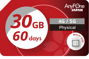 プリペイドSIM 30GB 60日間